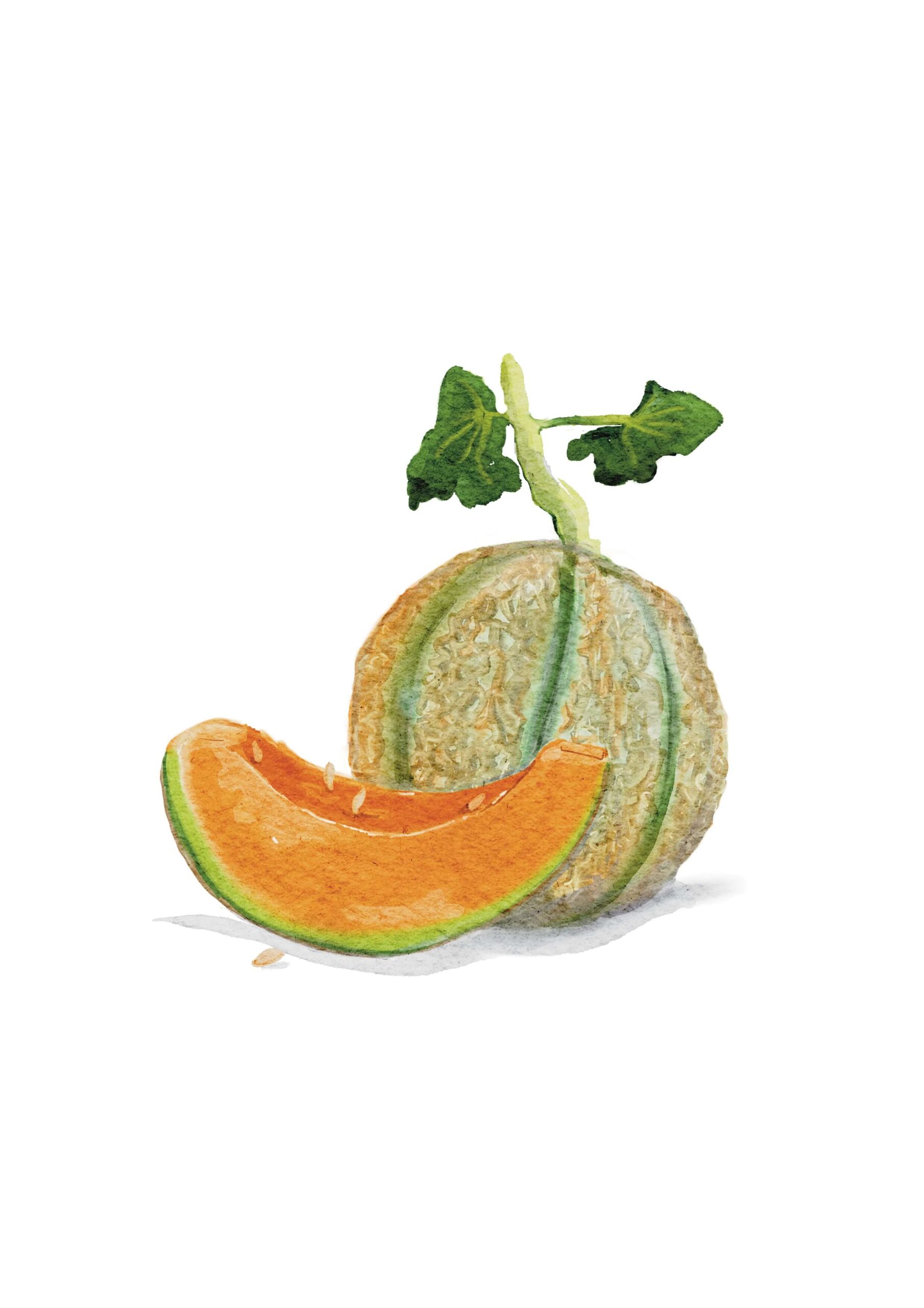 Picture by Stefanie Viëtor Libreria Assisi